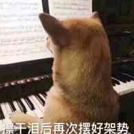 188****6512的钢琴谱
