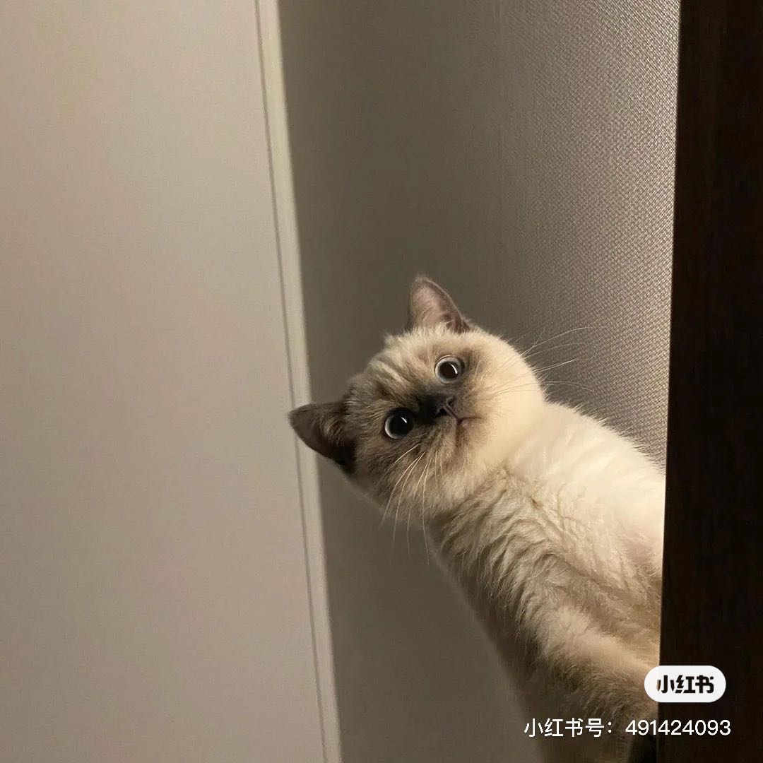 Miss.艾斯的钢琴谱