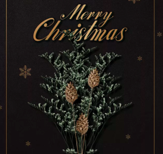 We Wish You A Merry Christmas钢琴谱