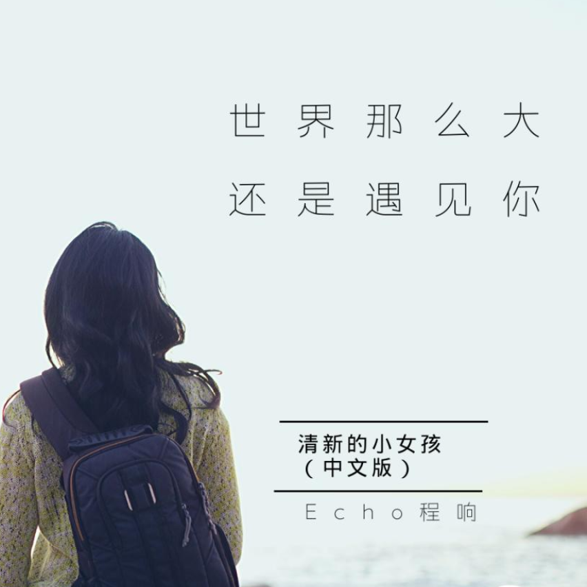 世界那么大还是遇见你-c调 上手容易可弹唱