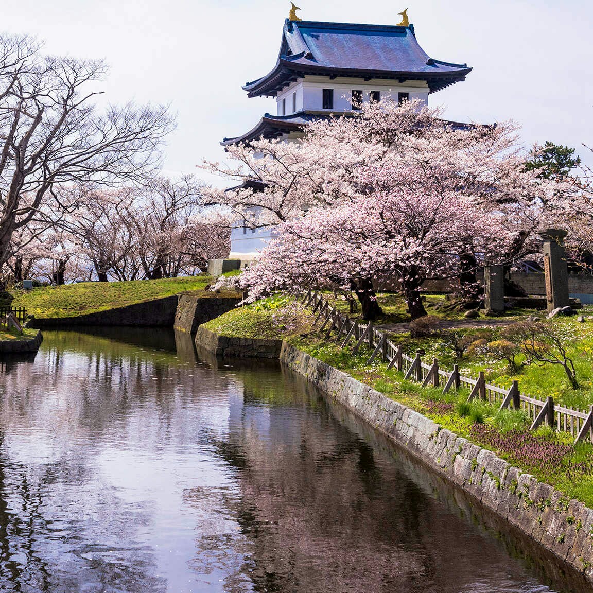 哈利·波特的钢琴谱