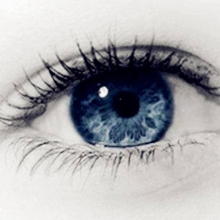 属天秤的小燕鸽的钢琴谱