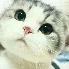 洛水天依的钢琴谱