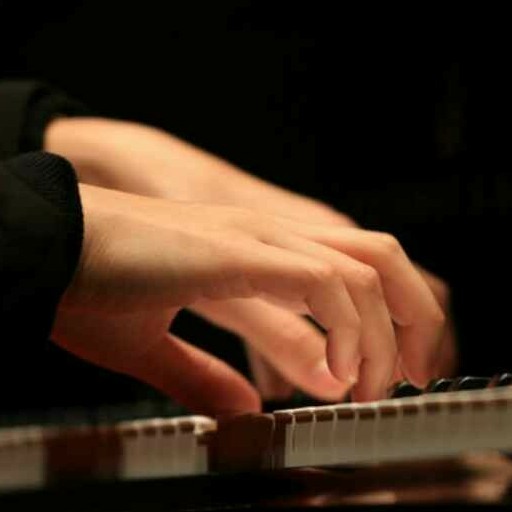 钢琴手$的钢琴谱