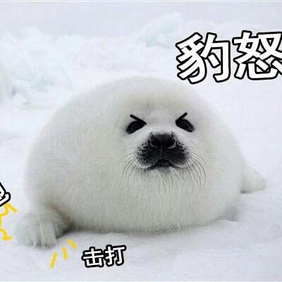 猪头猪头猪的钢琴谱