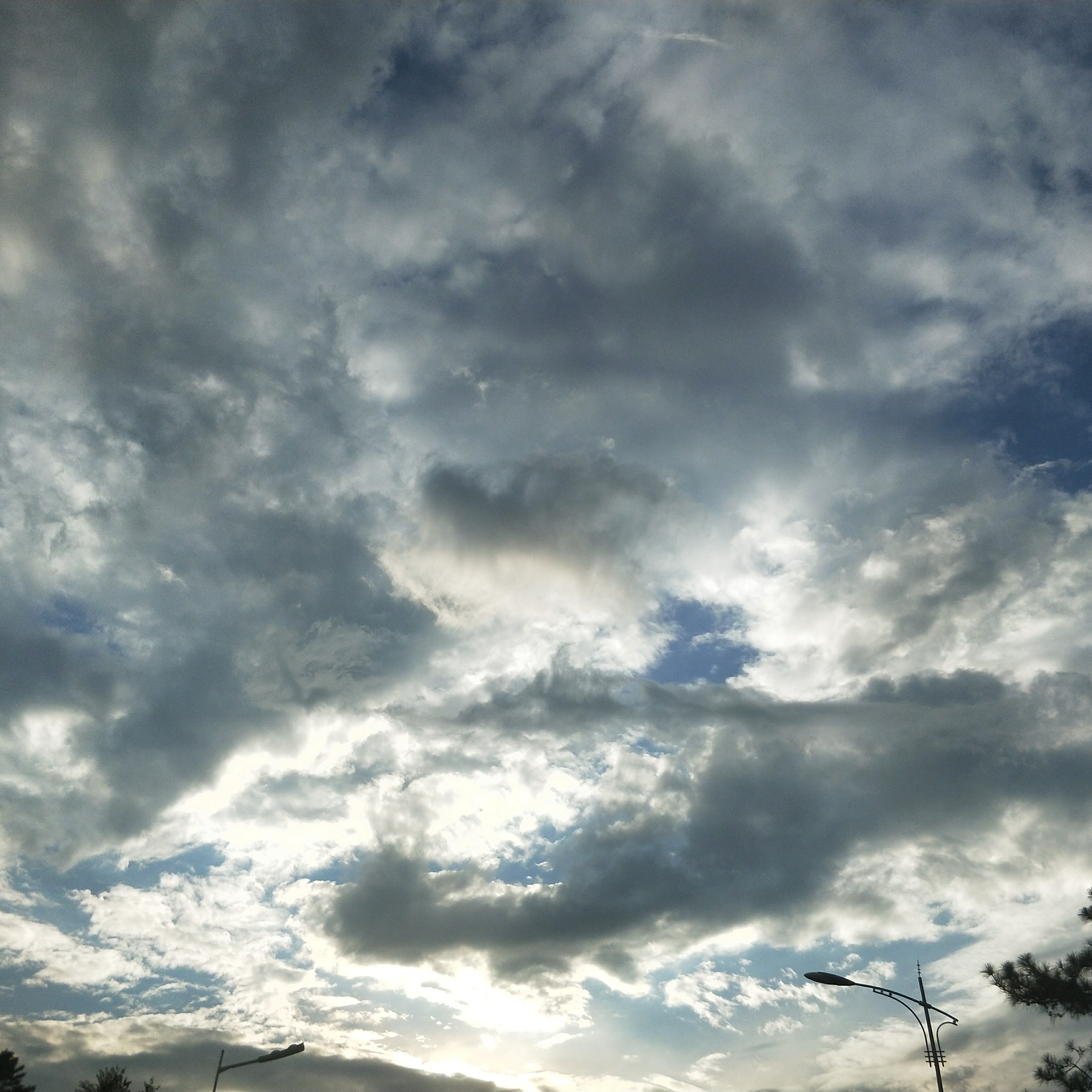 188****5662的钢琴谱