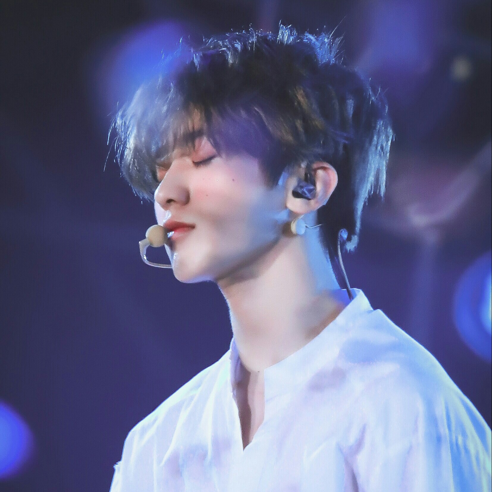  62树芬. 的钢琴谱