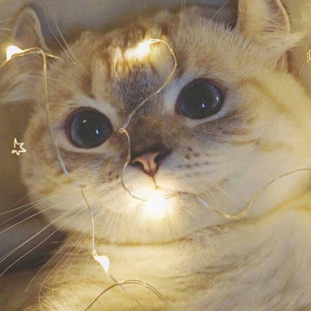jsdhwdmax的钢琴谱