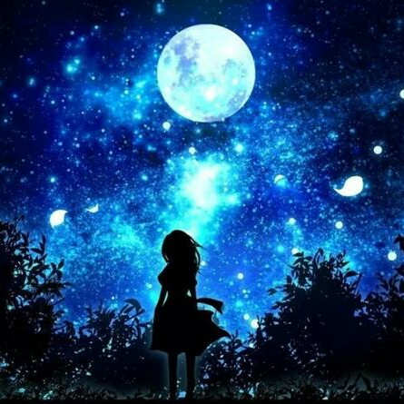 仰望星空的女孩的钢琴谱
