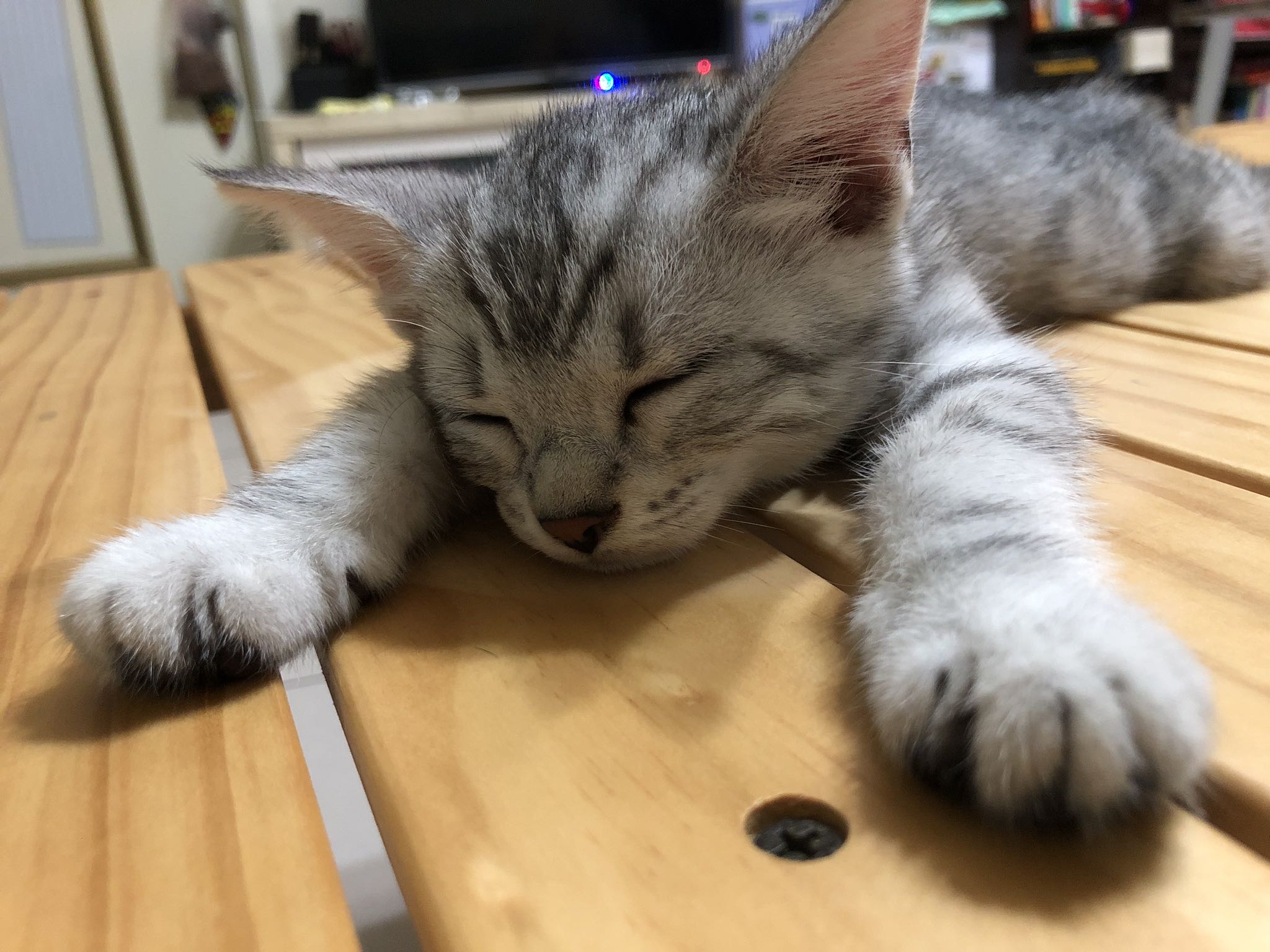小潘潘的钢琴谱