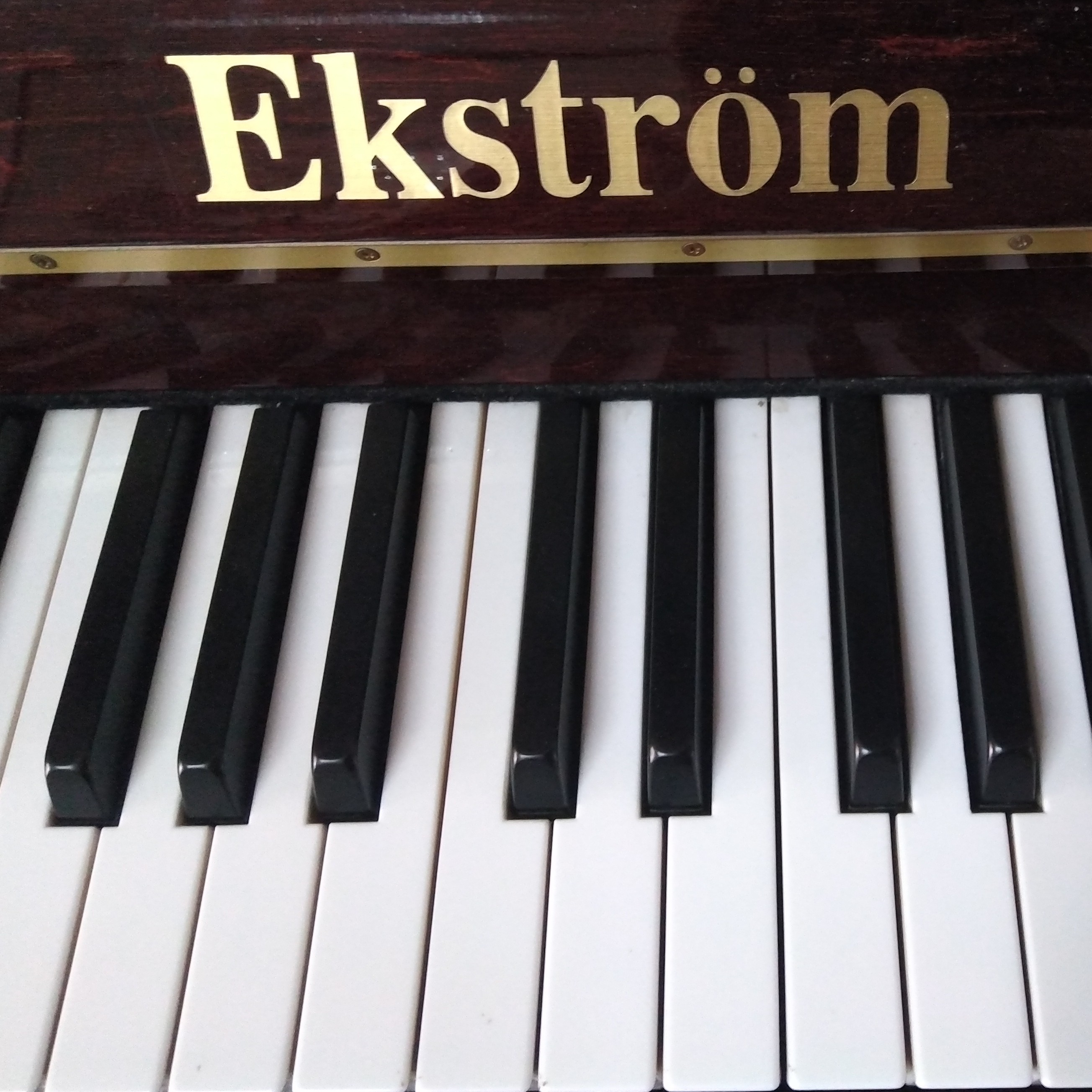 励志中的钢琴家的钢琴谱