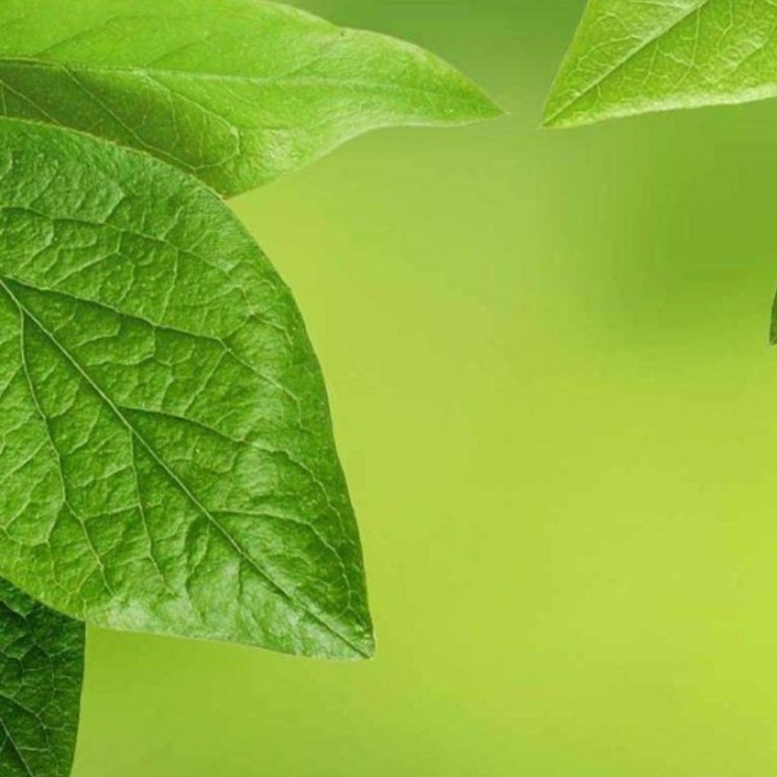 Anran的钢琴谱