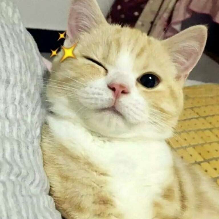 颓废的钢琴谱