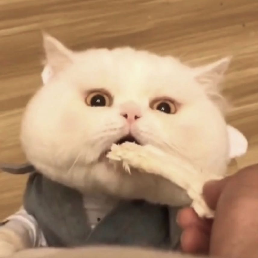 Alysa的钢琴谱