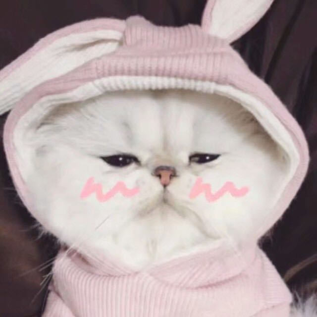 桃.矢.的钢琴谱