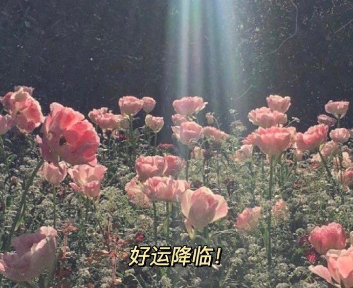 美人师兄的钢琴谱