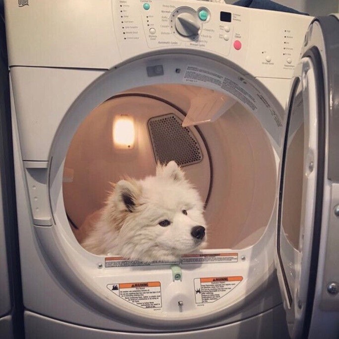 小鑫出现了的钢琴谱