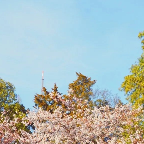 ♚晴天°smile〆的钢琴谱