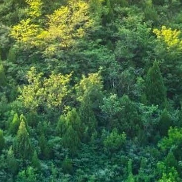 150****5039的钢琴谱