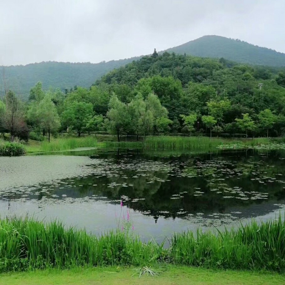 ￡星海￡的钢琴谱