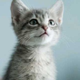 流星雨的钢琴谱