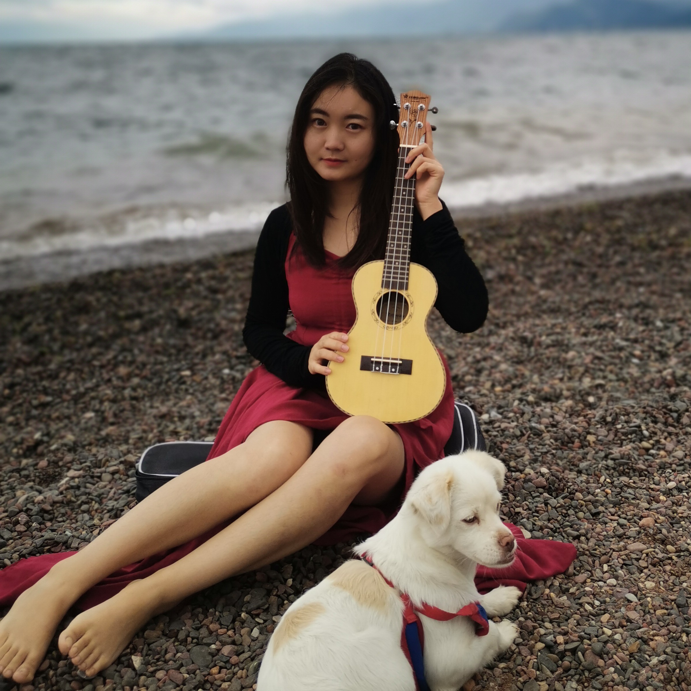 你眼睛会笑的钢琴谱