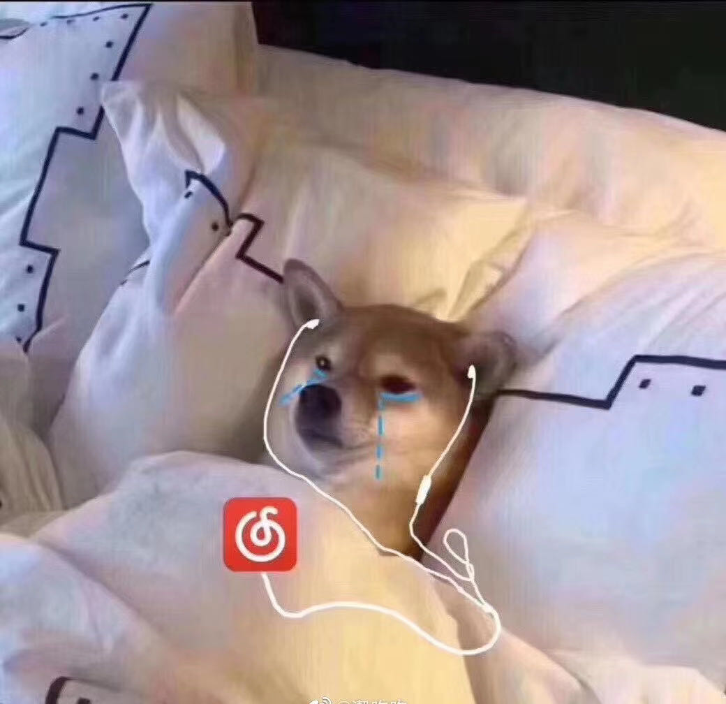 蔡皮卡的钢琴谱