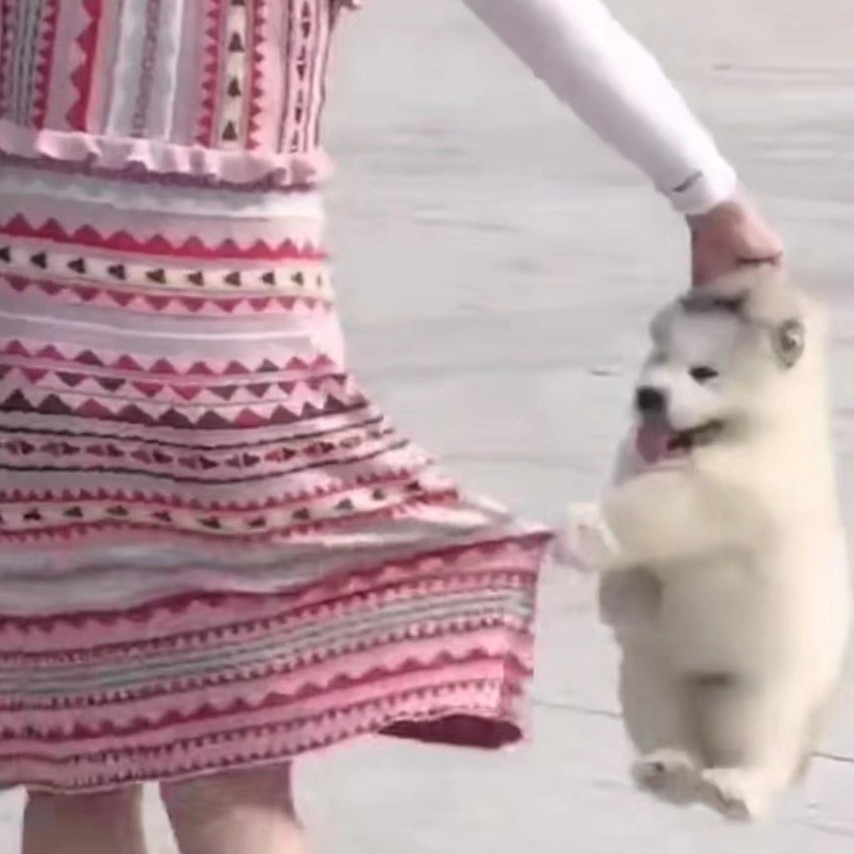 188****1395的钢琴谱