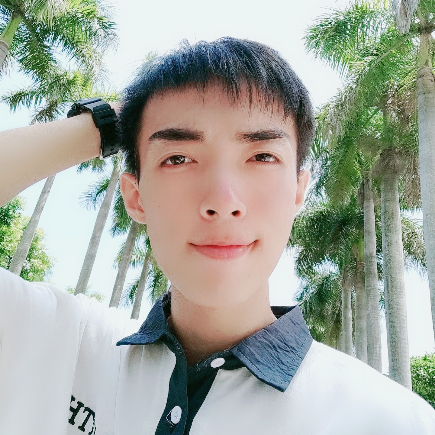 铁憨憨的钢琴谱