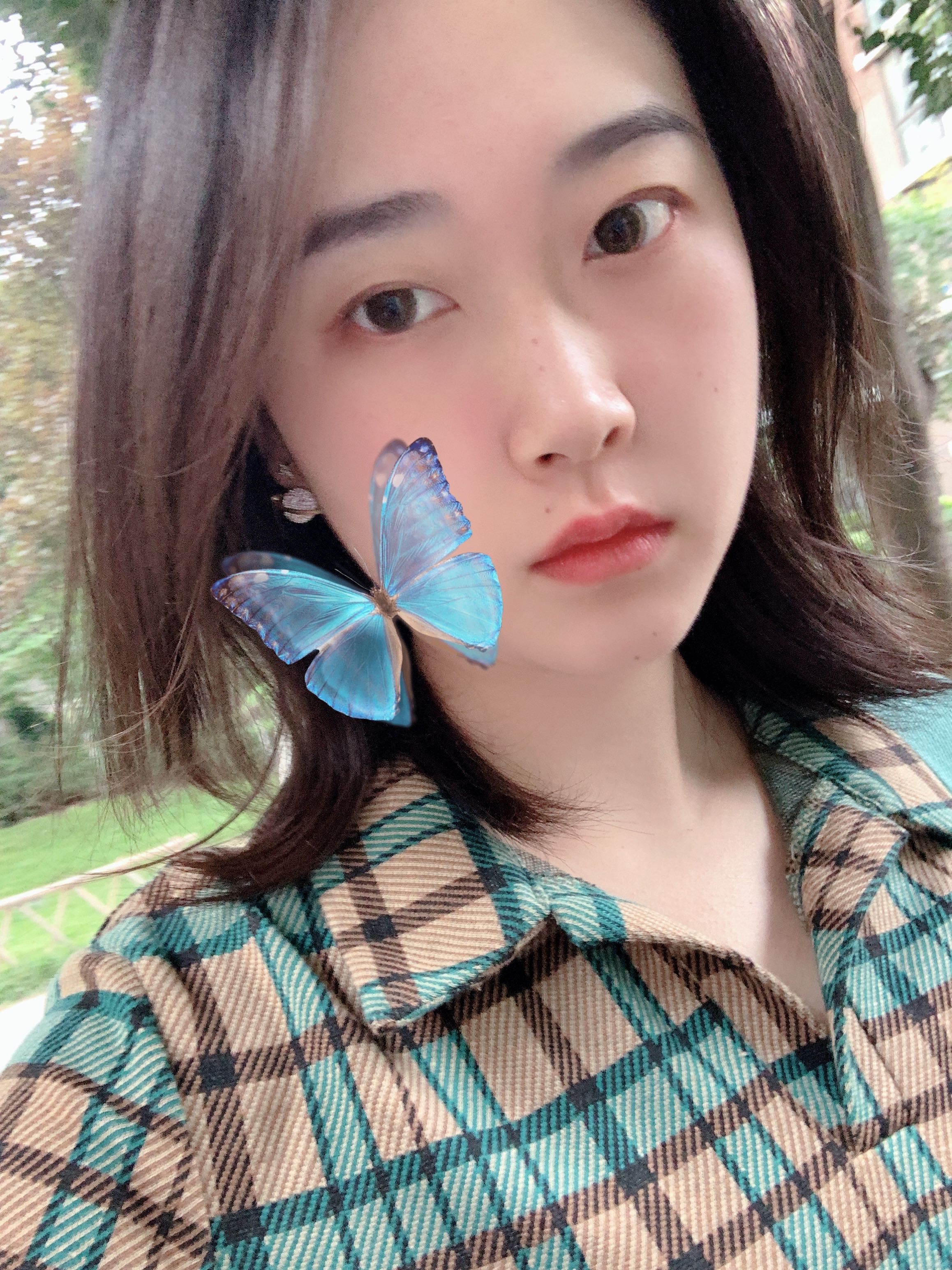 rapunzel21的钢琴谱