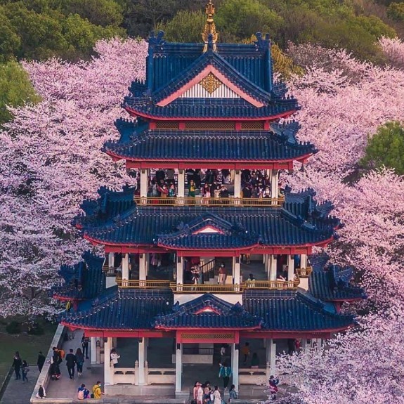 小橙果的钢琴谱