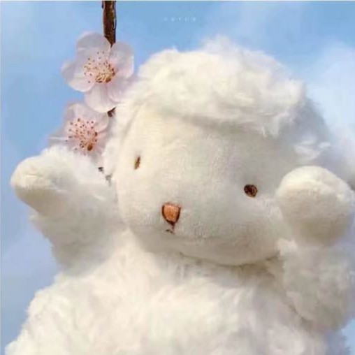 小奈喜欢杨洋的钢琴谱