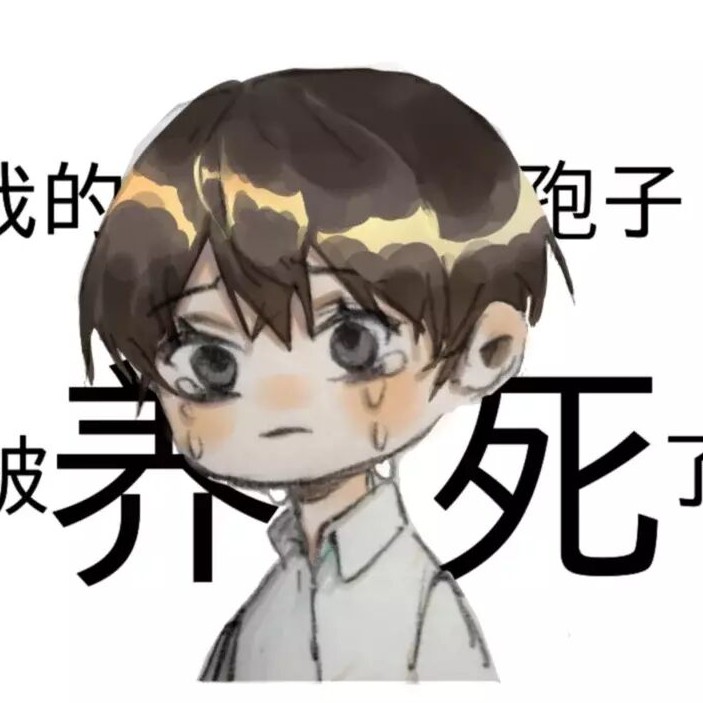 飒沓如流星的钢琴谱