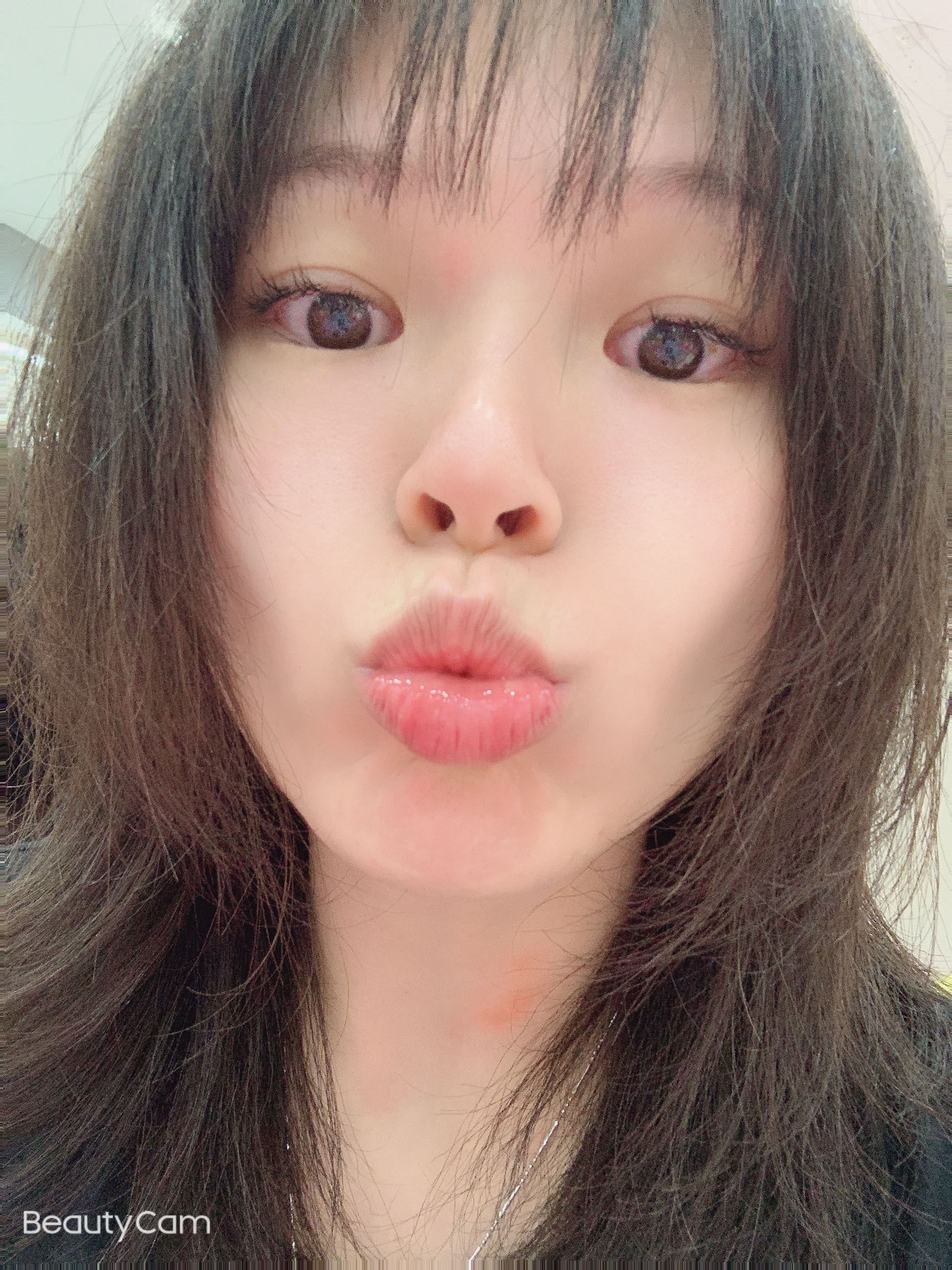 星黛露的钢琴谱