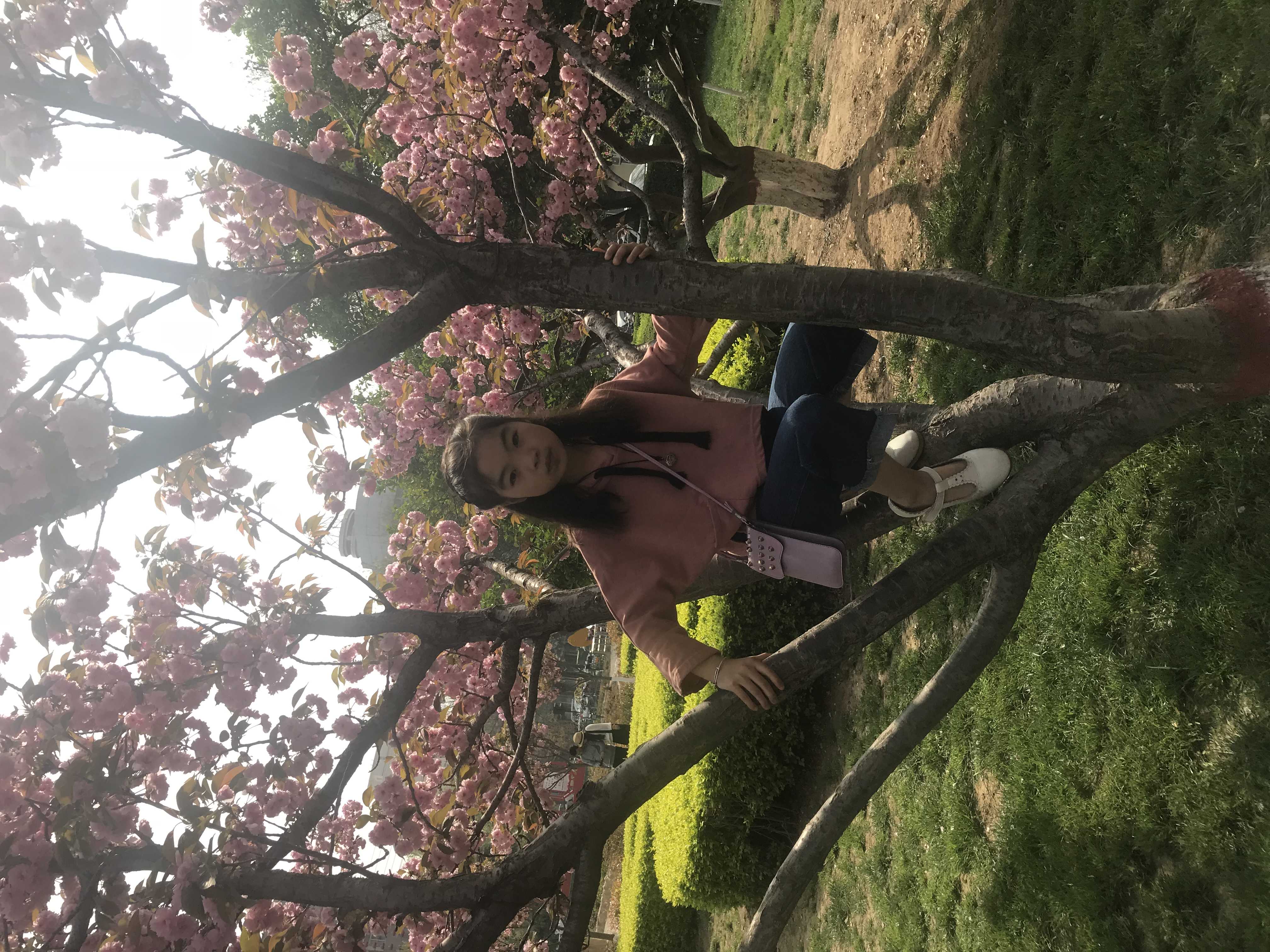 李佩檬的钢琴谱