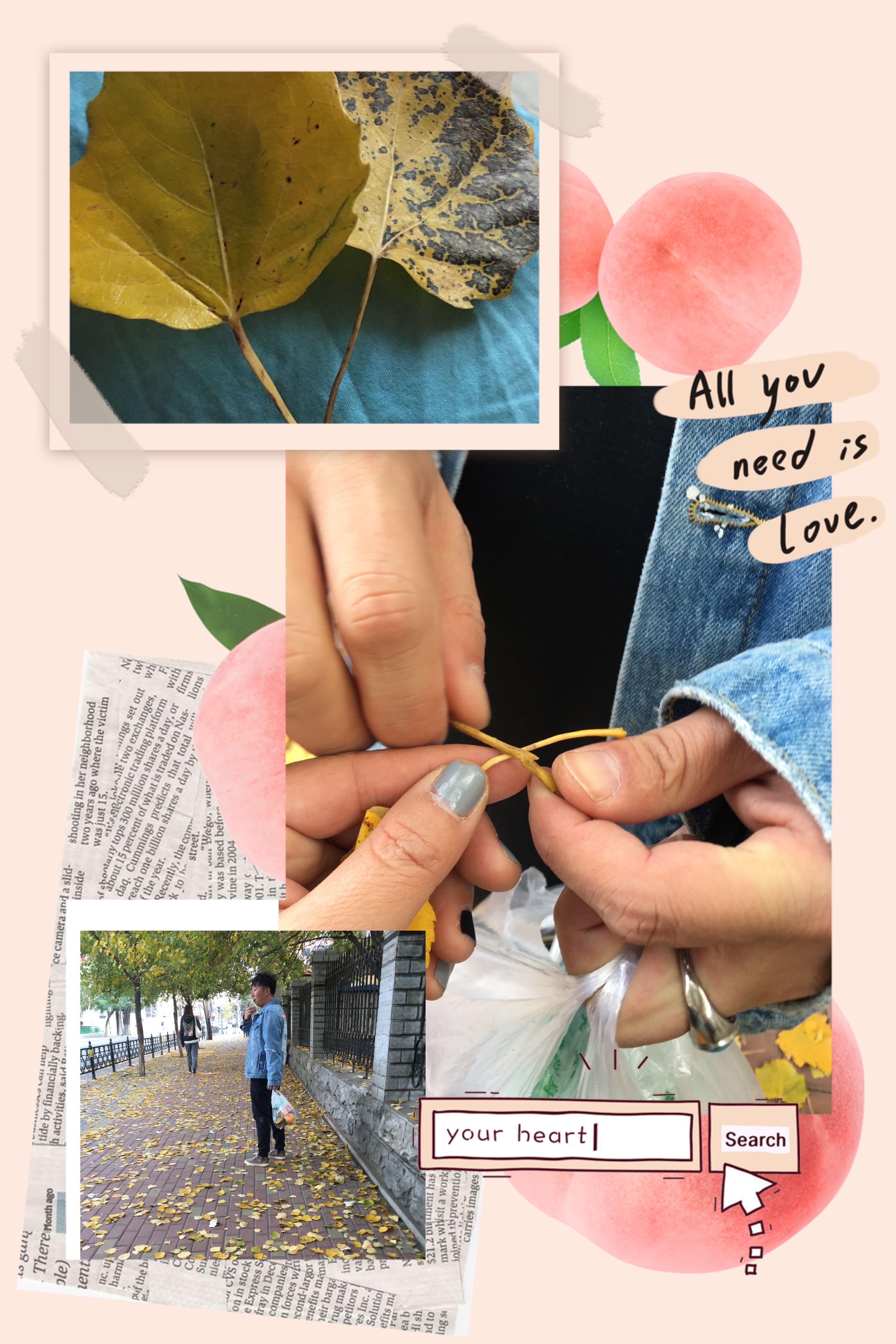 rolahappy2019的钢琴谱