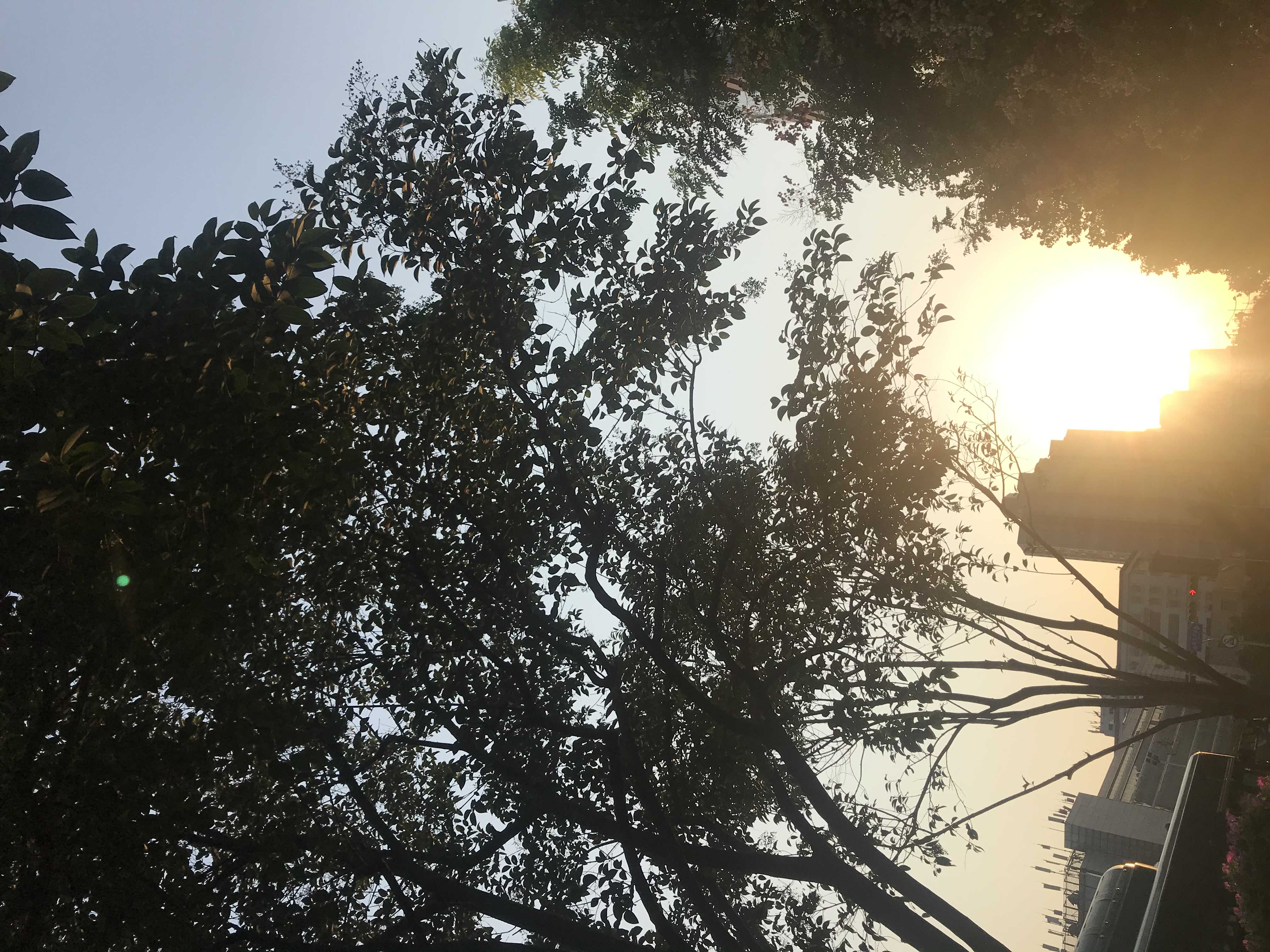 186****6011的钢琴谱