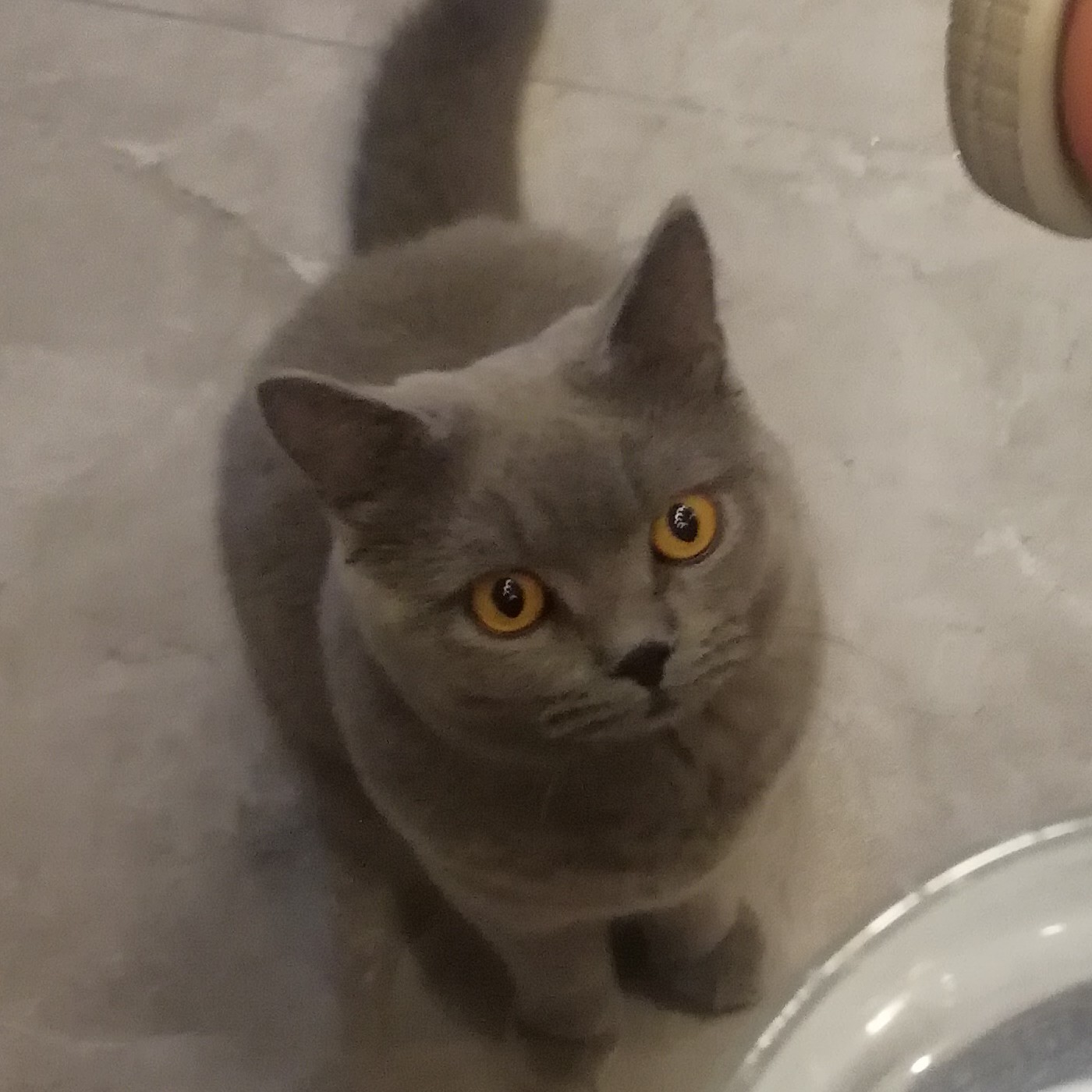 李昱狄的钢琴谱