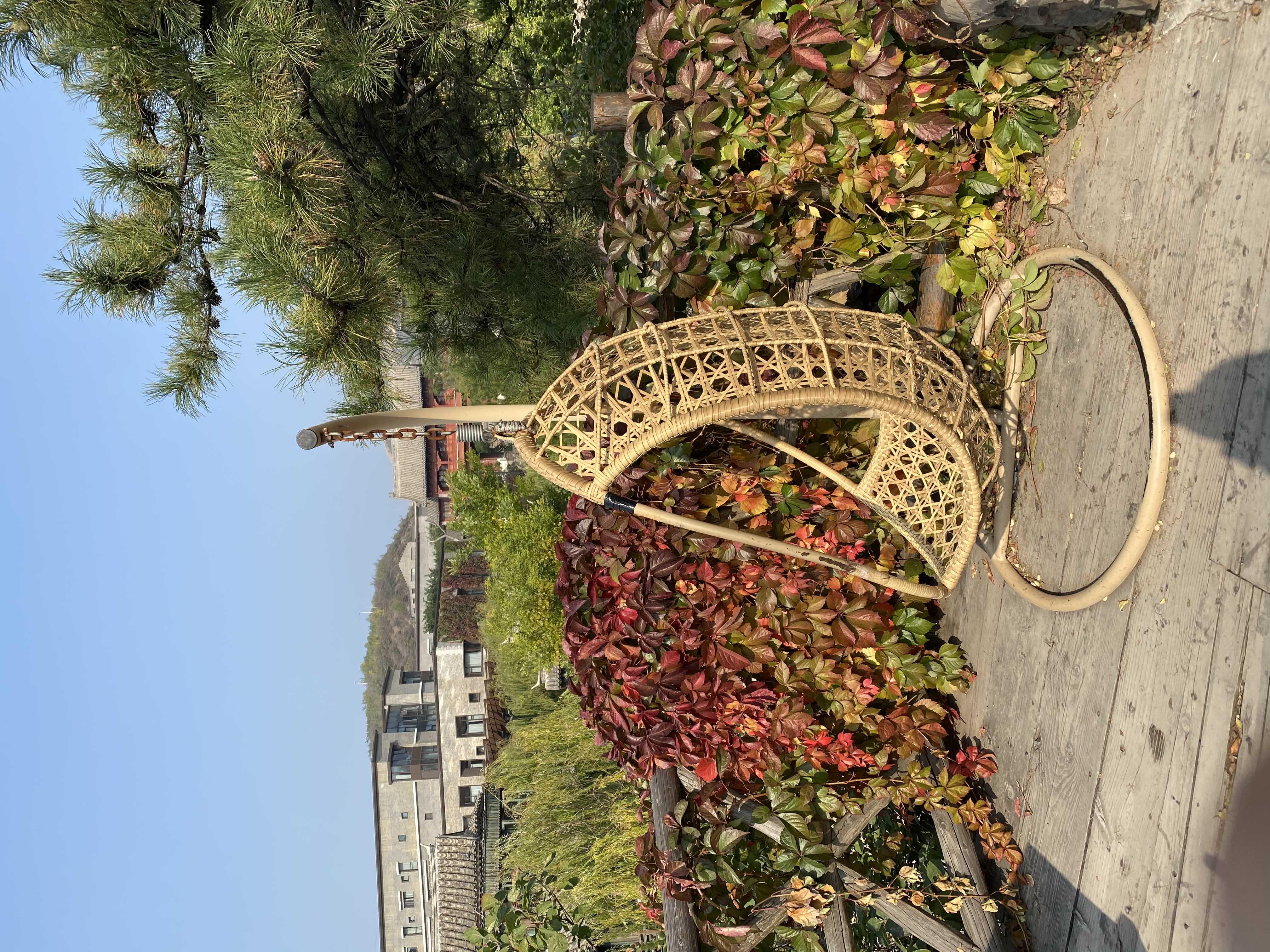 爱吃枇杷的个人空间