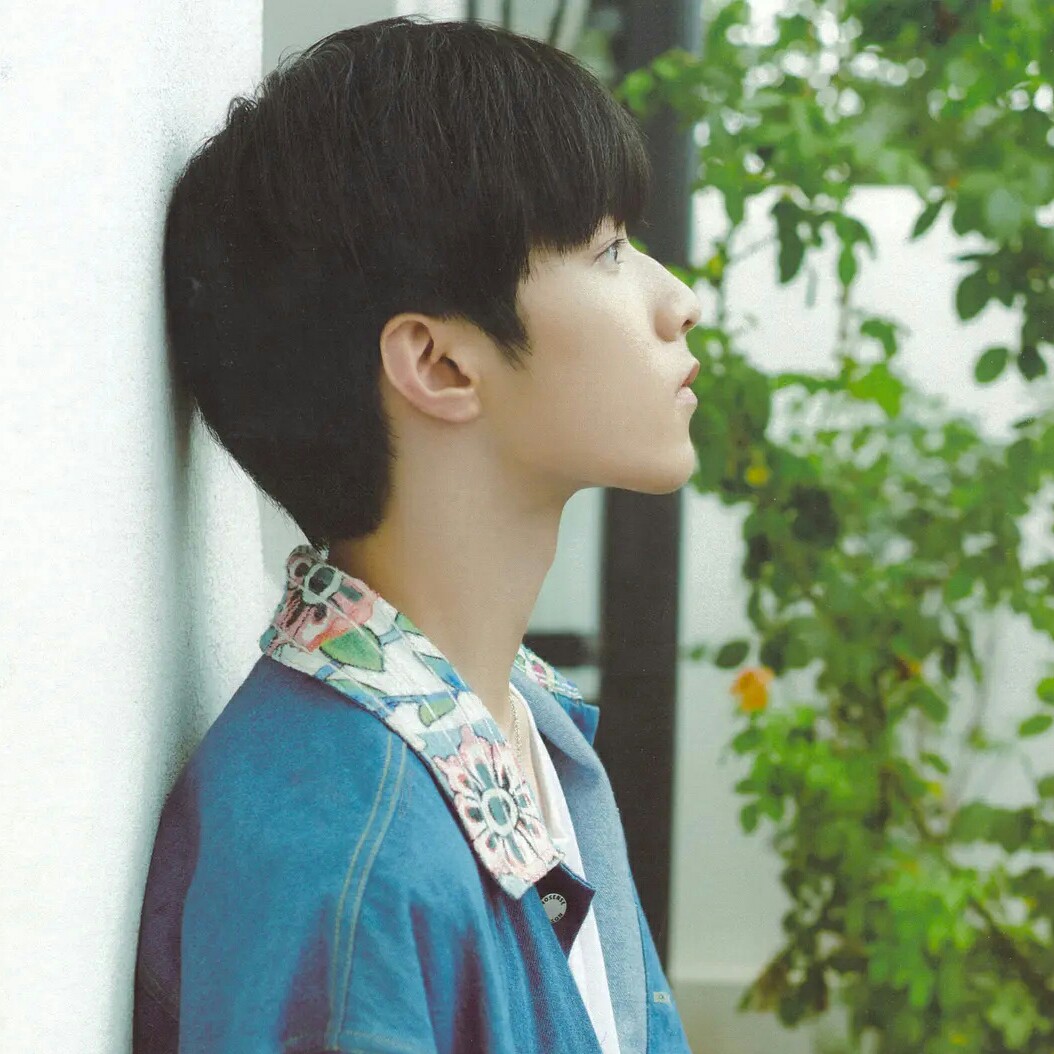 小刘是人间理想的钢琴谱