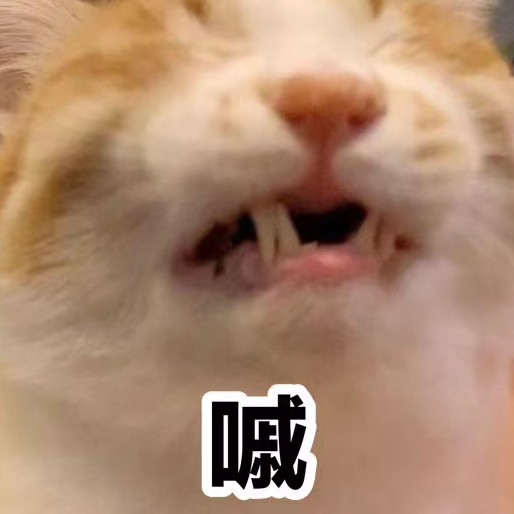 德玛西亚的个人空间