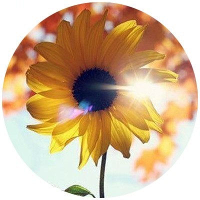189****0903的钢琴谱