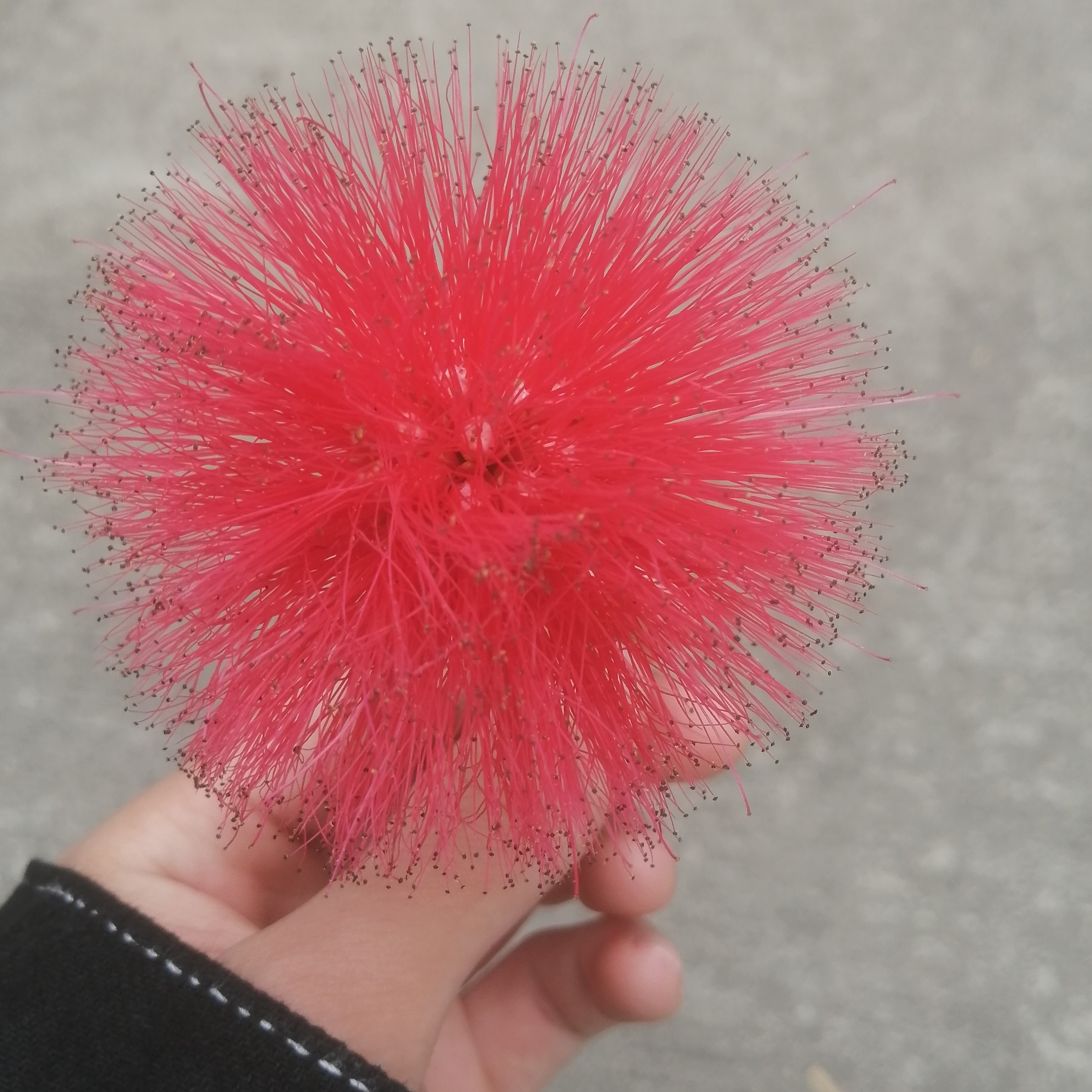 小顾的个人空间