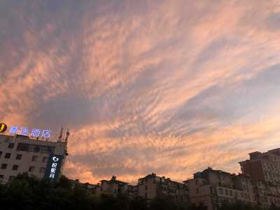 LeCiel。的钢琴谱