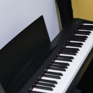 青年梦想钢琴家的钢琴谱