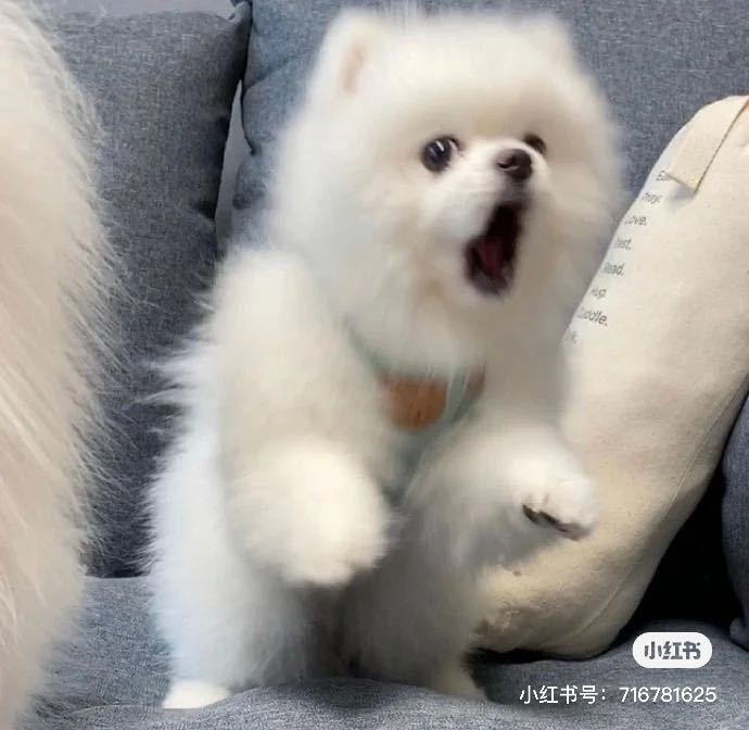 Serein的钢琴谱