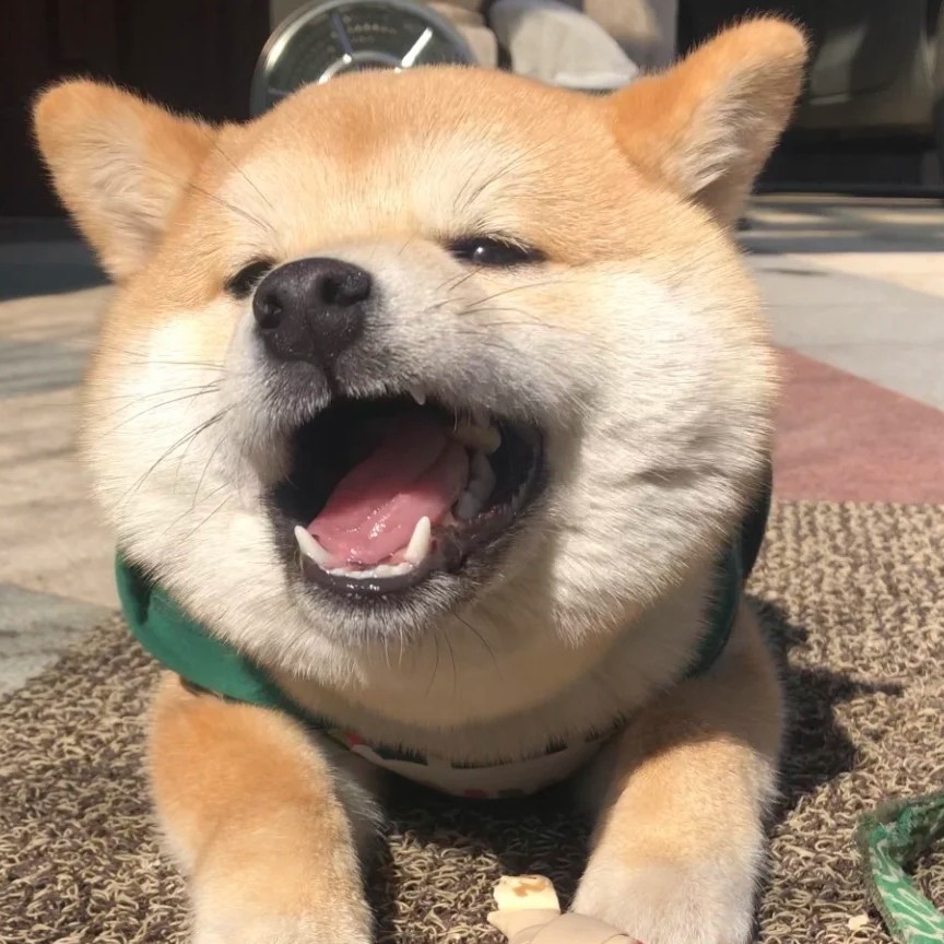 Youla的钢琴谱