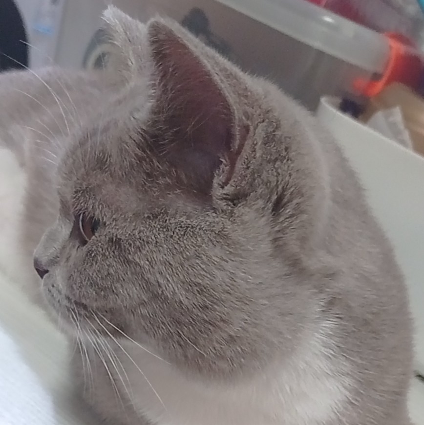 黄伟焙的钢琴谱