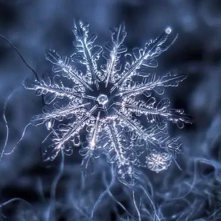 夕成木的钢琴谱