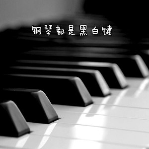 钢琴都是黑白键